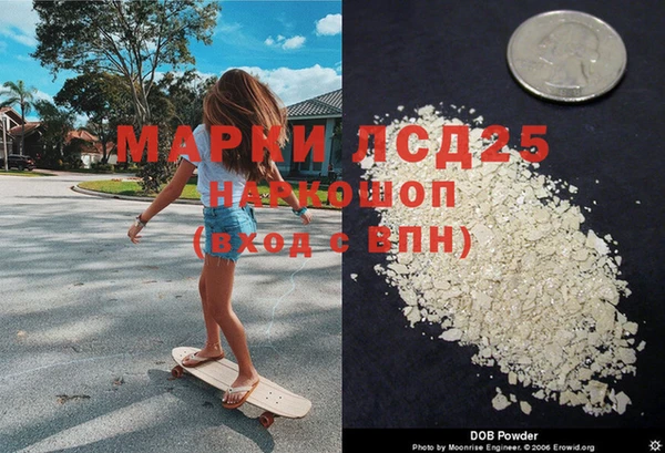 стаф Осташков