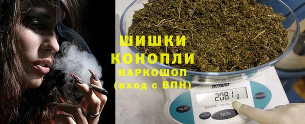 стаф Осташков