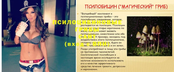 стаф Осташков