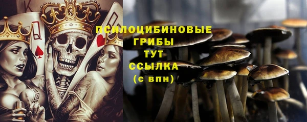стаф Осташков