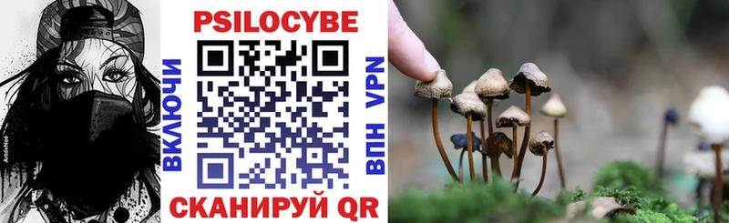 Галлюциногенные грибы мицелий  Тула 