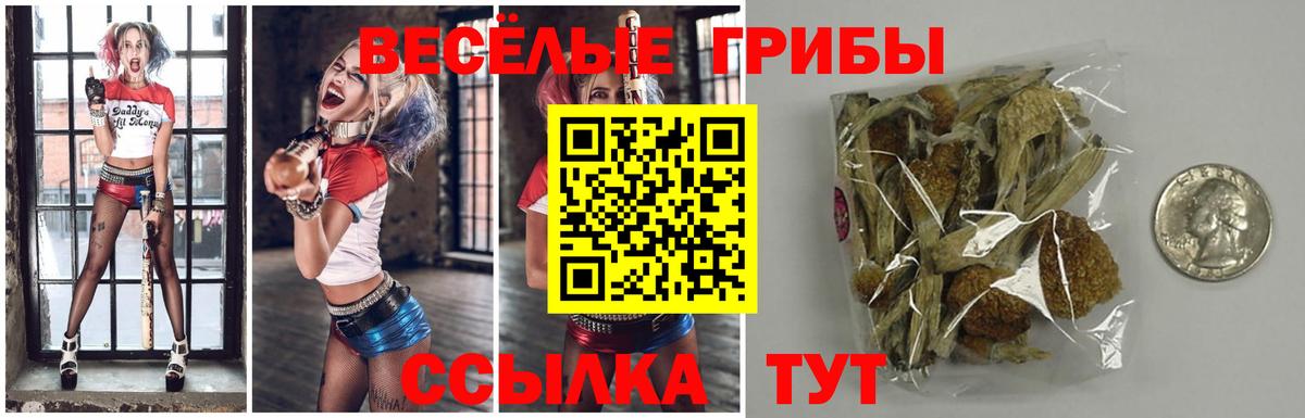 Галлюциногенные грибы мицелий Тула